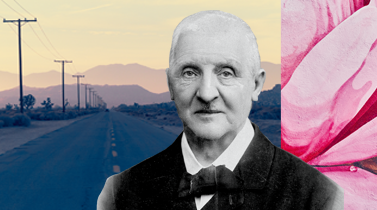 Bruckner's Great Mass