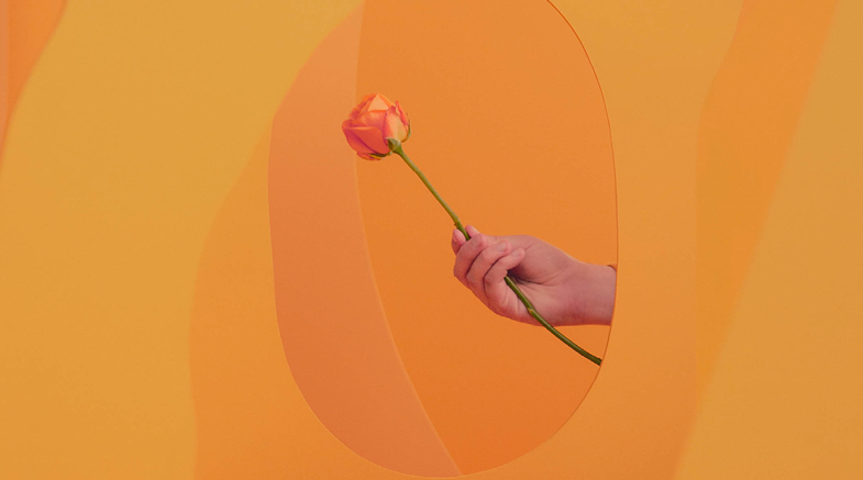 Lo, How a Rose